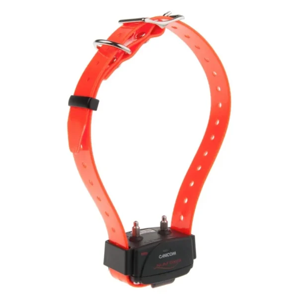 Collier d’éducation Canicom seul