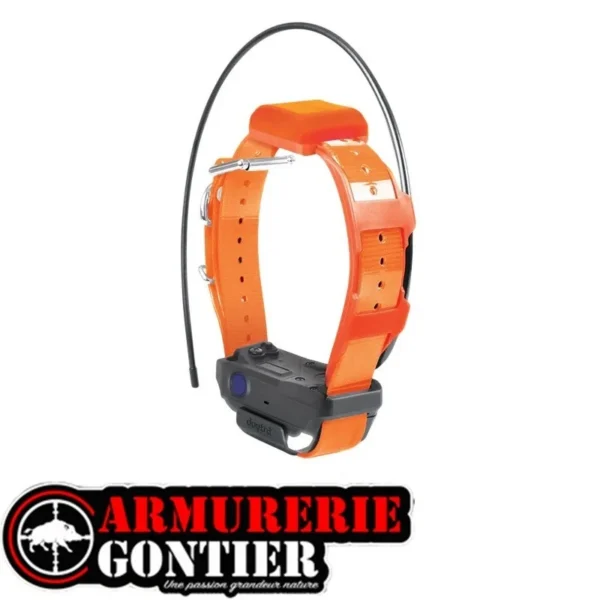 Collier de repérage SUPPLEMENTAIRE DOGTRA PATHFINDER 2 TRXsur www.armureriegontier.fr