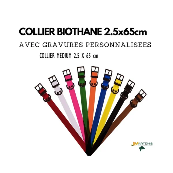 COLLIER POUR CHIEN Réfléchissant 2,5x65cm + GRAVURE 1 LIGNE
