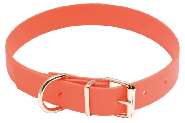 Collier pour chien Biothane orange fluo – Country – Collier Biothane – Longueur 40 cm