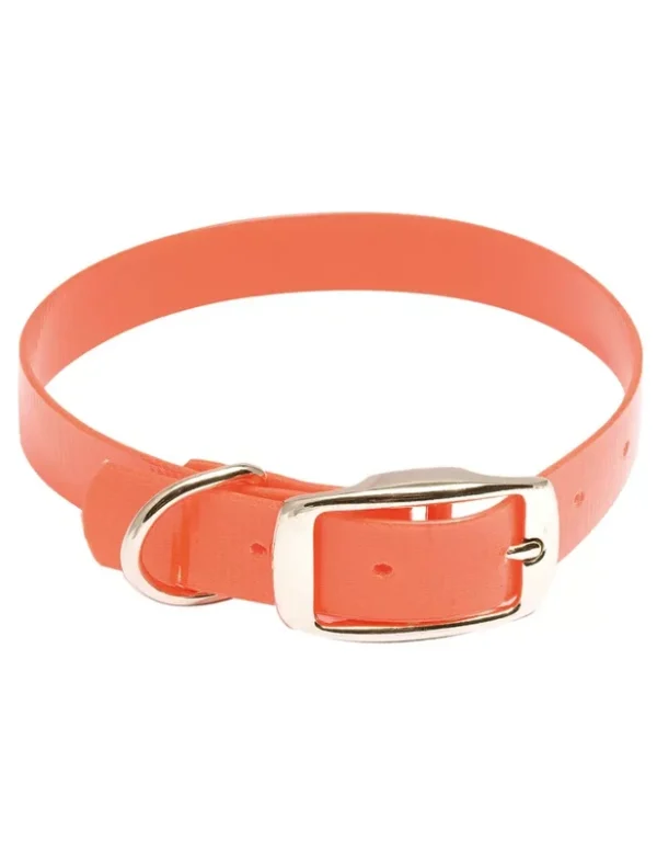 Collier chien Hiflex orange fluo