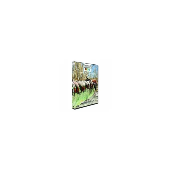 DVD de chasse Magique Volga – DVD de chasse aux gibiers d’eau…