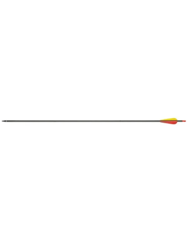 Flèches pour arc Shoot Again carbone 32″ SPIN 340