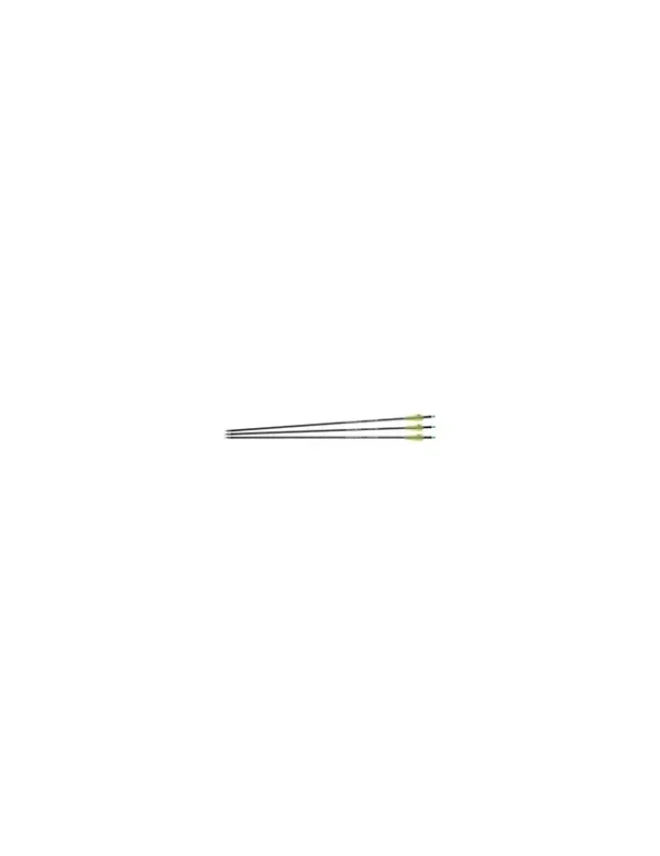Flèches pour arc Fiberglass NXG 30″ Spine 500 x3