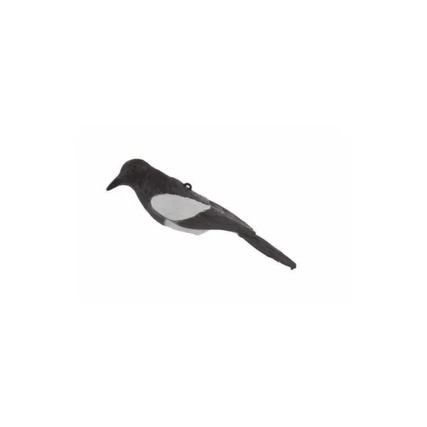 Forme de pie sur Toutpourlahutte.com