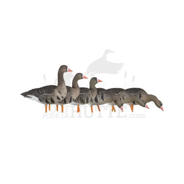 Formes d’oie rieuse sur pattes AvianX sur Toutpourlahutte.com
