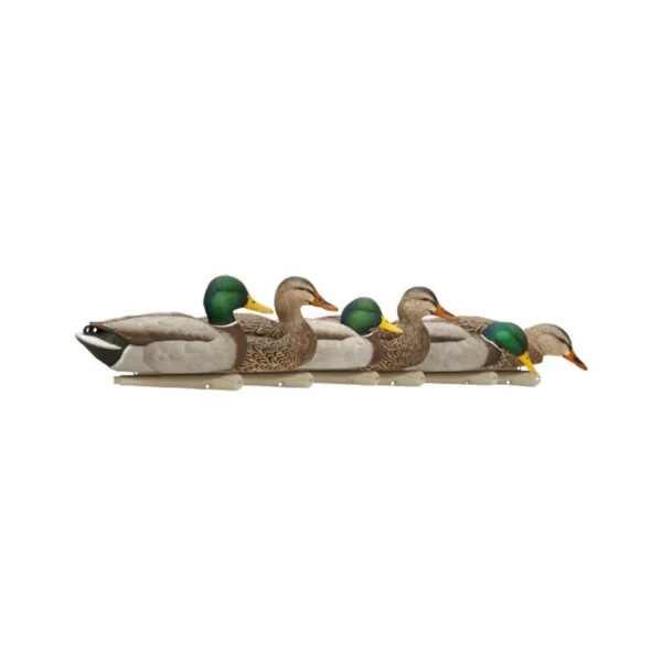 Formes de colvert AvianX actives HD sur Toutpourlahutte.com