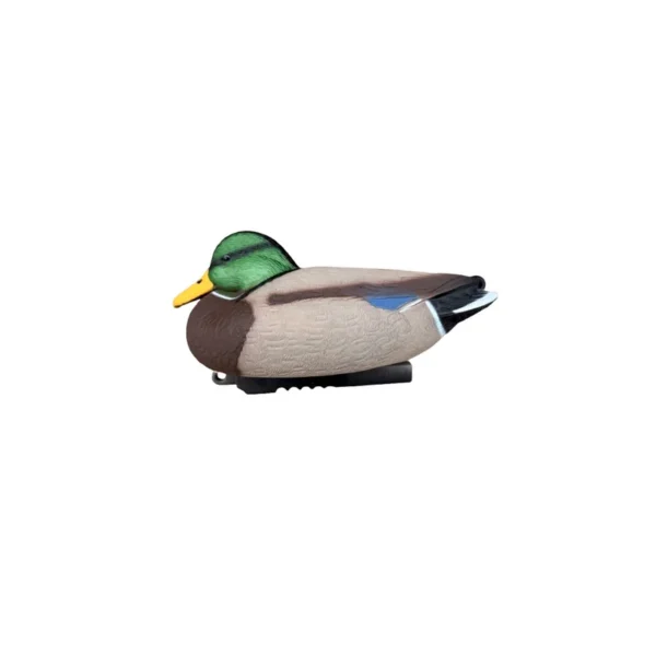 Formes de Colvert HD Moussées Insubmersibles – Lot de 12 (8 mâles + 4 femelles)