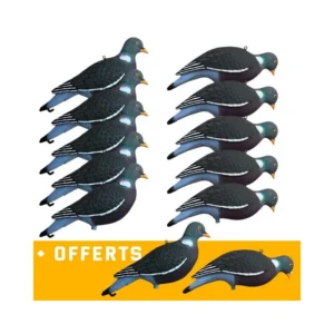 Image du produit