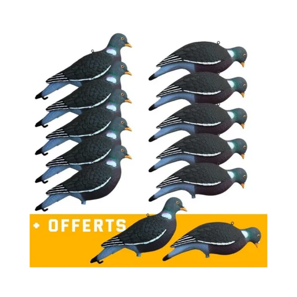 Formes de pigeon HD UV – actifs et mangeurs – exclusivité TPLH !