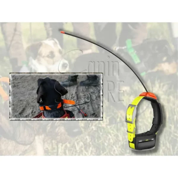 Garmin T5 Version FR