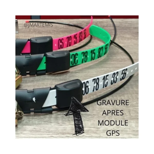Gravure collier GPS pour chien GARMIN|SPORTDOG-JMARTEMIS