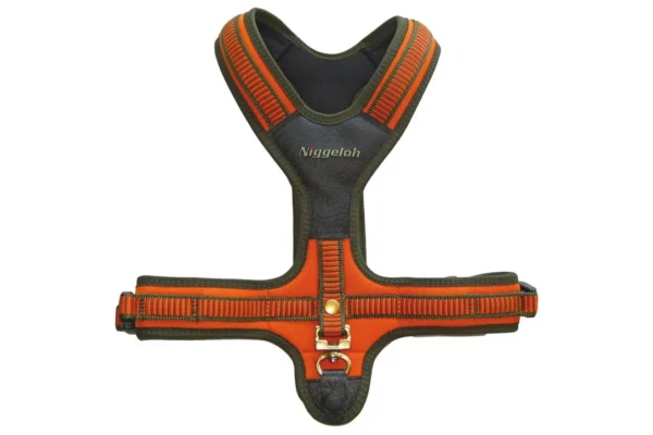 Harnais néoprène orange pour chien – Niggeloh – Taille S / Tour de cou : 35 cm/ ventre : 39/63 cm.