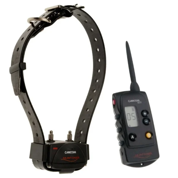 Kit Collier d’éducation Canicom 800 – 800m