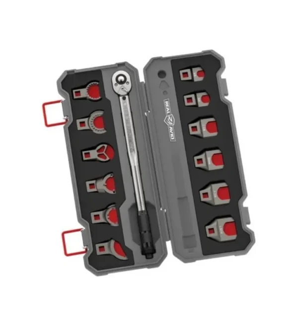 Kit pour AR15 REAL AVID MASTER-FIT Clef dynamométrique + 12 pièces – Tout-Chasse.fr