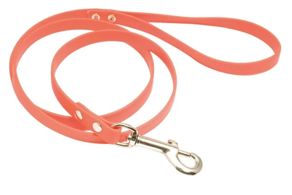 Laisse 1,20 m Biothane orange fluo pour chien – Country – Orange