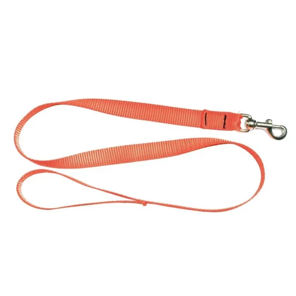 Laisse 1,20 m sangle orange fluo pour chien – Country