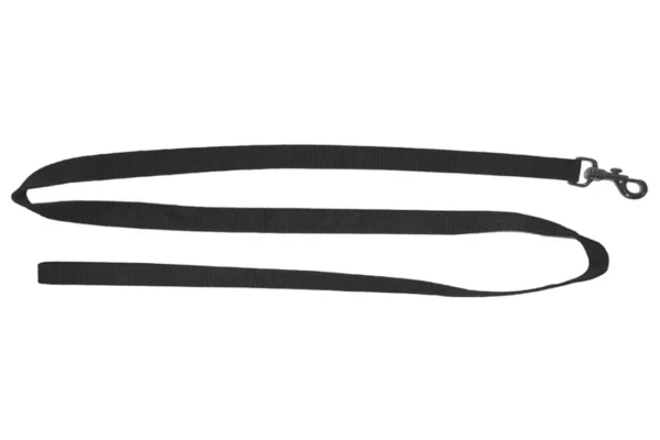 Acheter Laisse Sangle Nylon pour Chien | toutpourlahutte.fr