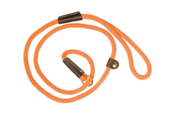 Laisses de dressage orange pour chien – Country