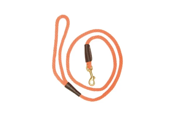 Laisse orange pour chien avec mousqueton – Laisse 180 cm – Diamètre 1 cm