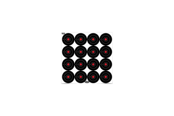 Lot de 12 cibles Dirty Bird