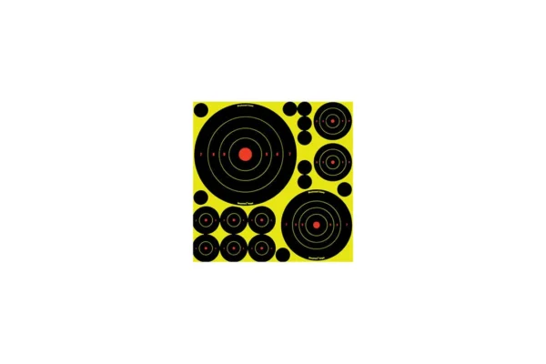 Lot de 5 cibles avec 10 bull’s eye