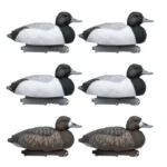 Image du produit précédent
