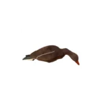 Image du produit précédent