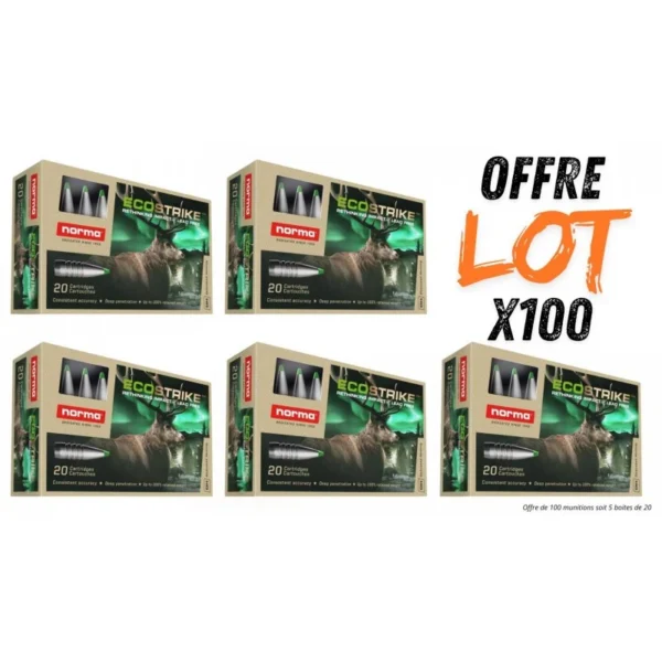 Munitions Norma Ecostrike 165g – Cal. 308 Win – Lot de 100 munitions