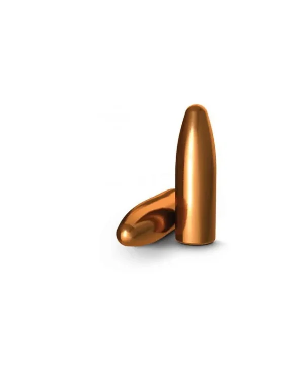 OGIVES H&N DIAM 308 165GR- CUIVREES X500