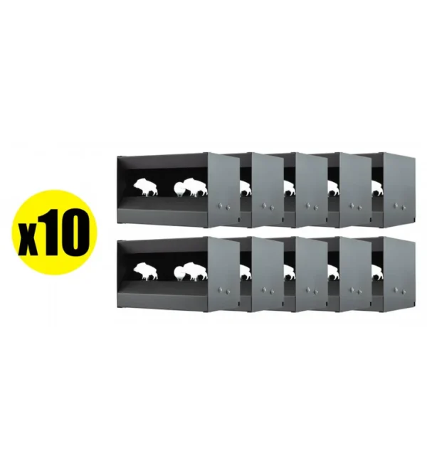 Pack Cible mobile silhouettes Sangliers pour air comprimé calibre 4.5 mm (x10) – Tout-Chasse.fr