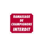 Image du produit suivant