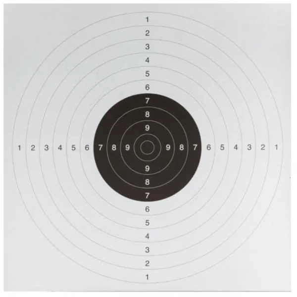 PAQUET DE 100 CIBLES CARTON C50 53X53 | WesternGuns
