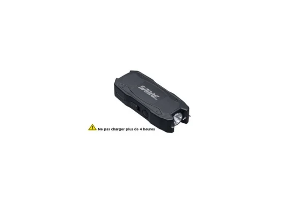 Pistolet paralysant avec lampe torche – 1552 μC- 120Lm