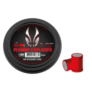 Image du produit