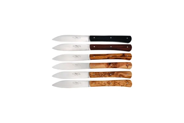 Set Zen Table – Coffret 6 couteaux Panaché TMC