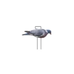 Image du produit précédent