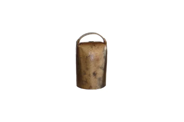 SONNAILLON LAITON TAILLE 6