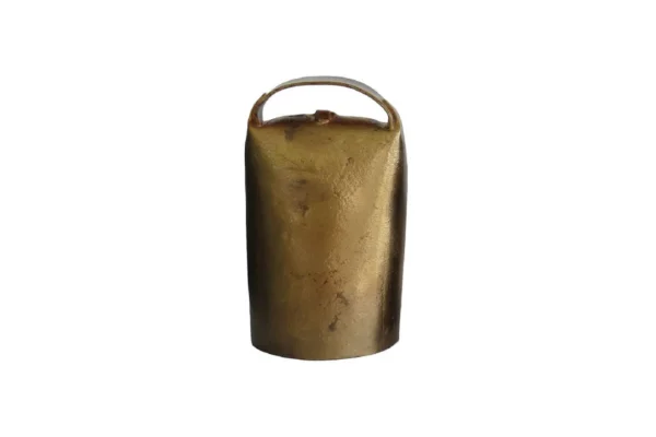 SONNAILLON LAITON TAILLE 8